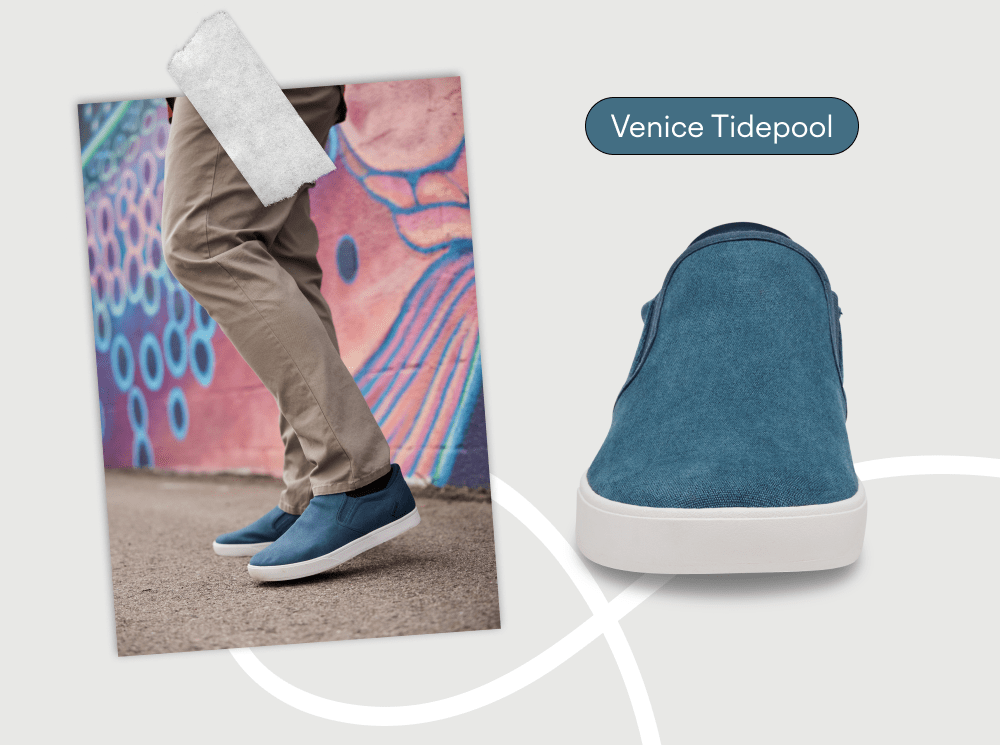Venice Tidepool Venice Tidepool