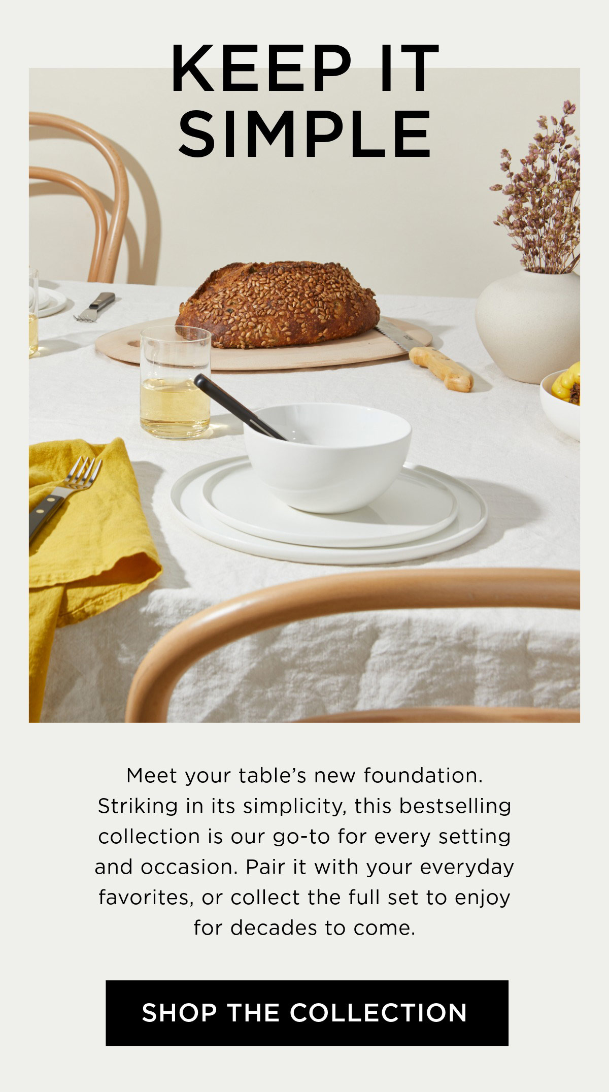 Shop dinnerware