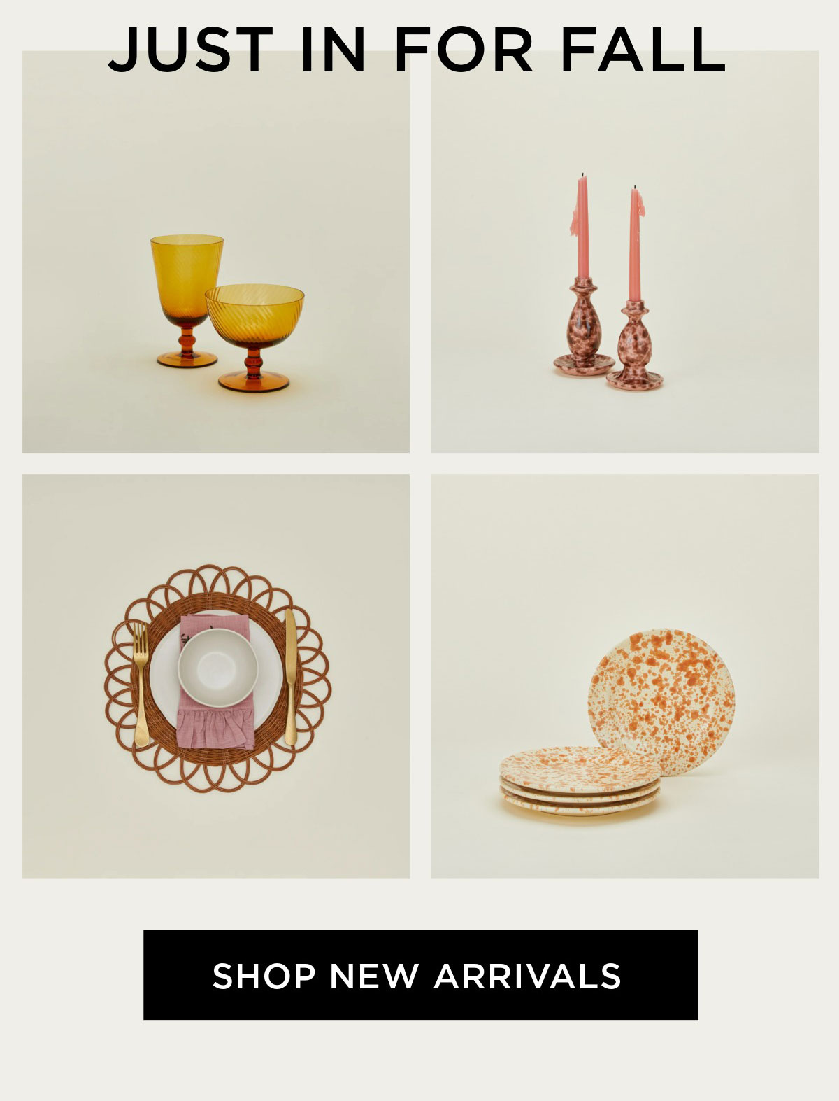 Shop New