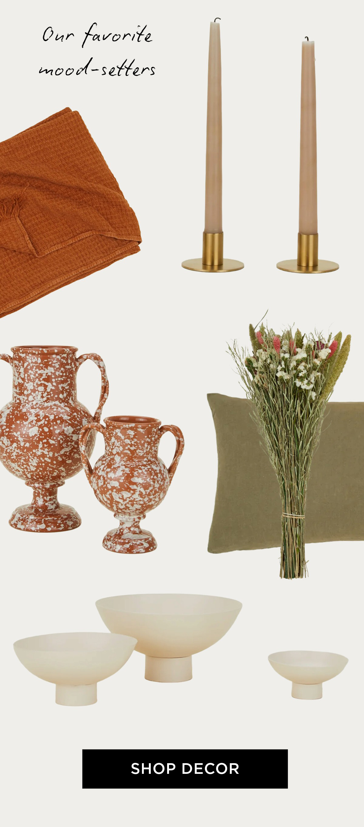 Shop Decor