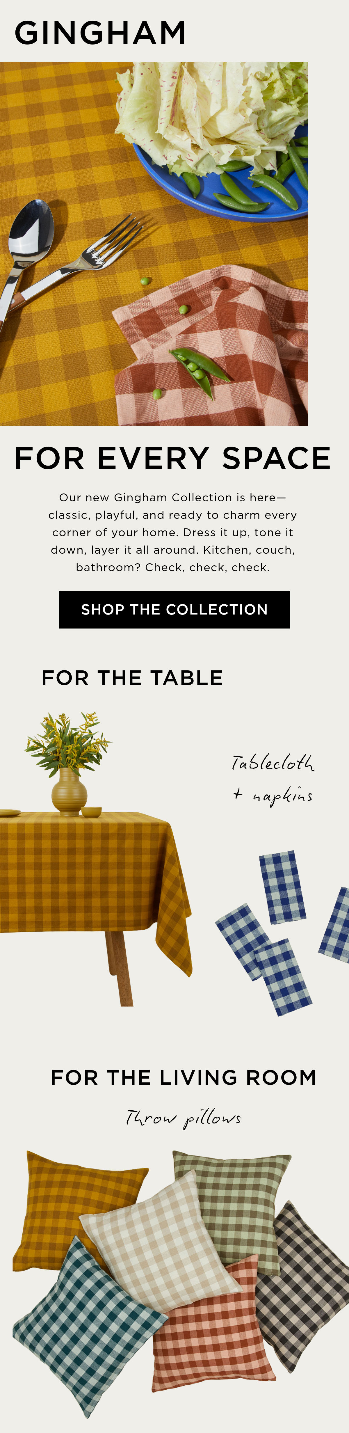 Shop New Gingham