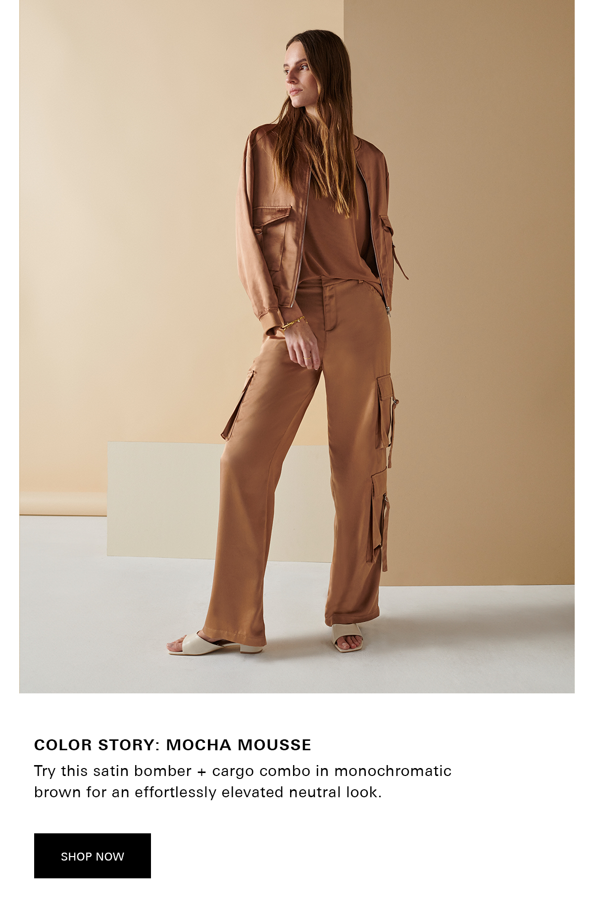 New Color Mocha Mousse