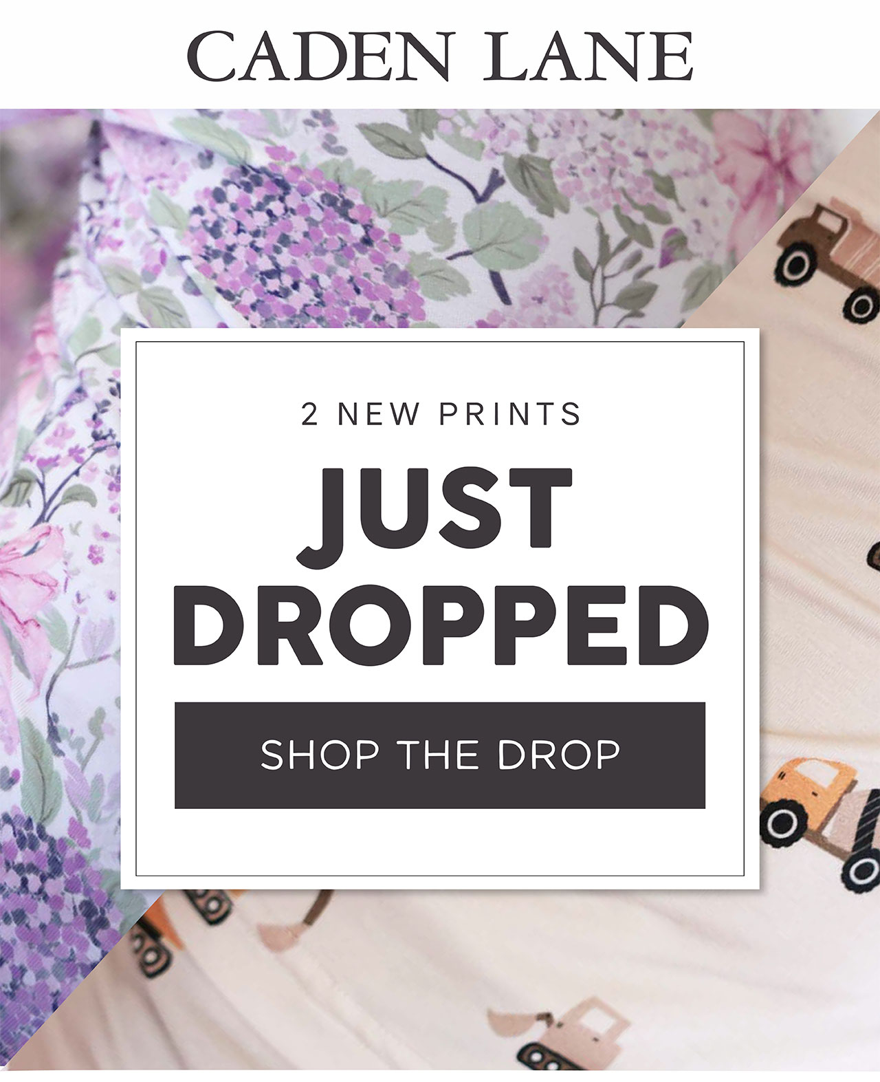 2 new prints Just Dropped SHOP THE DROP