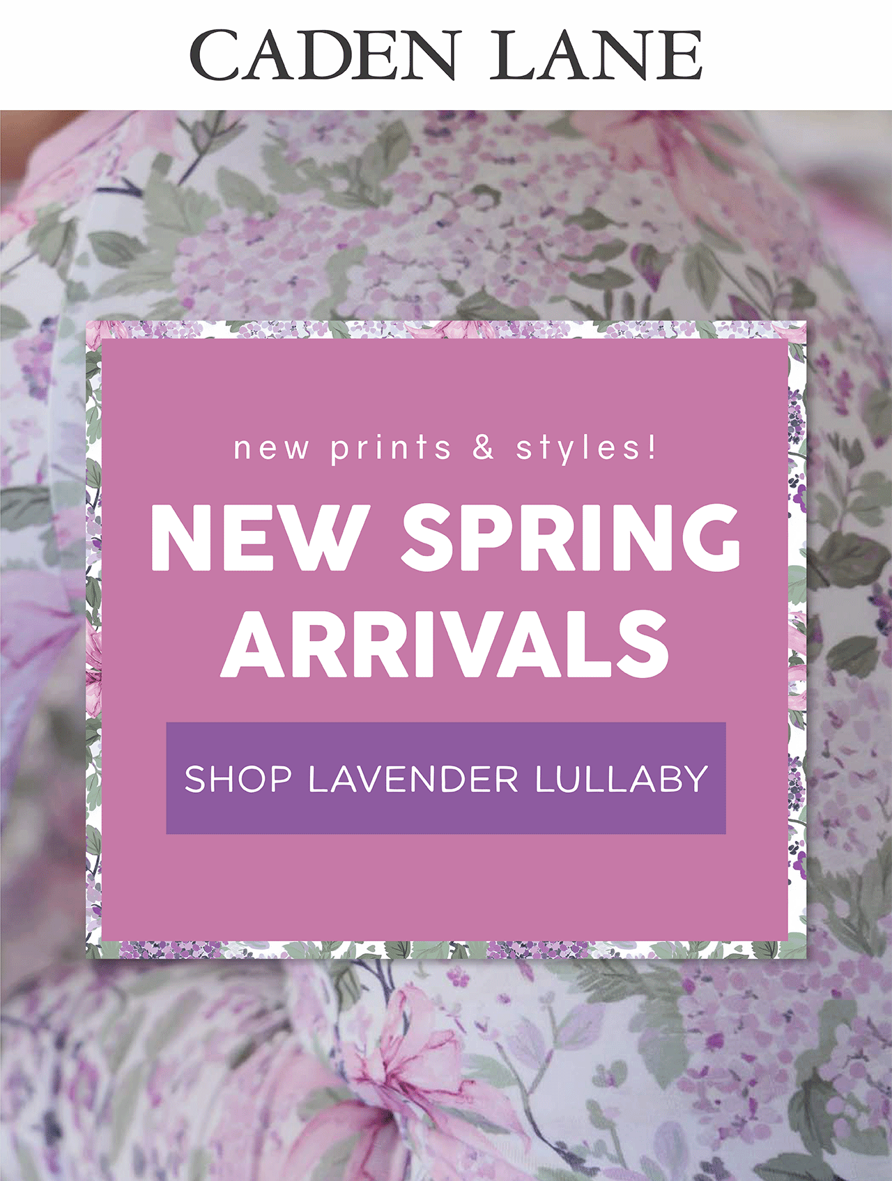 new prints & styles! NEW SPRING ARRIVALS SHOP LAVENDER LULLABY & SHOP LITTLE BUILDERS
