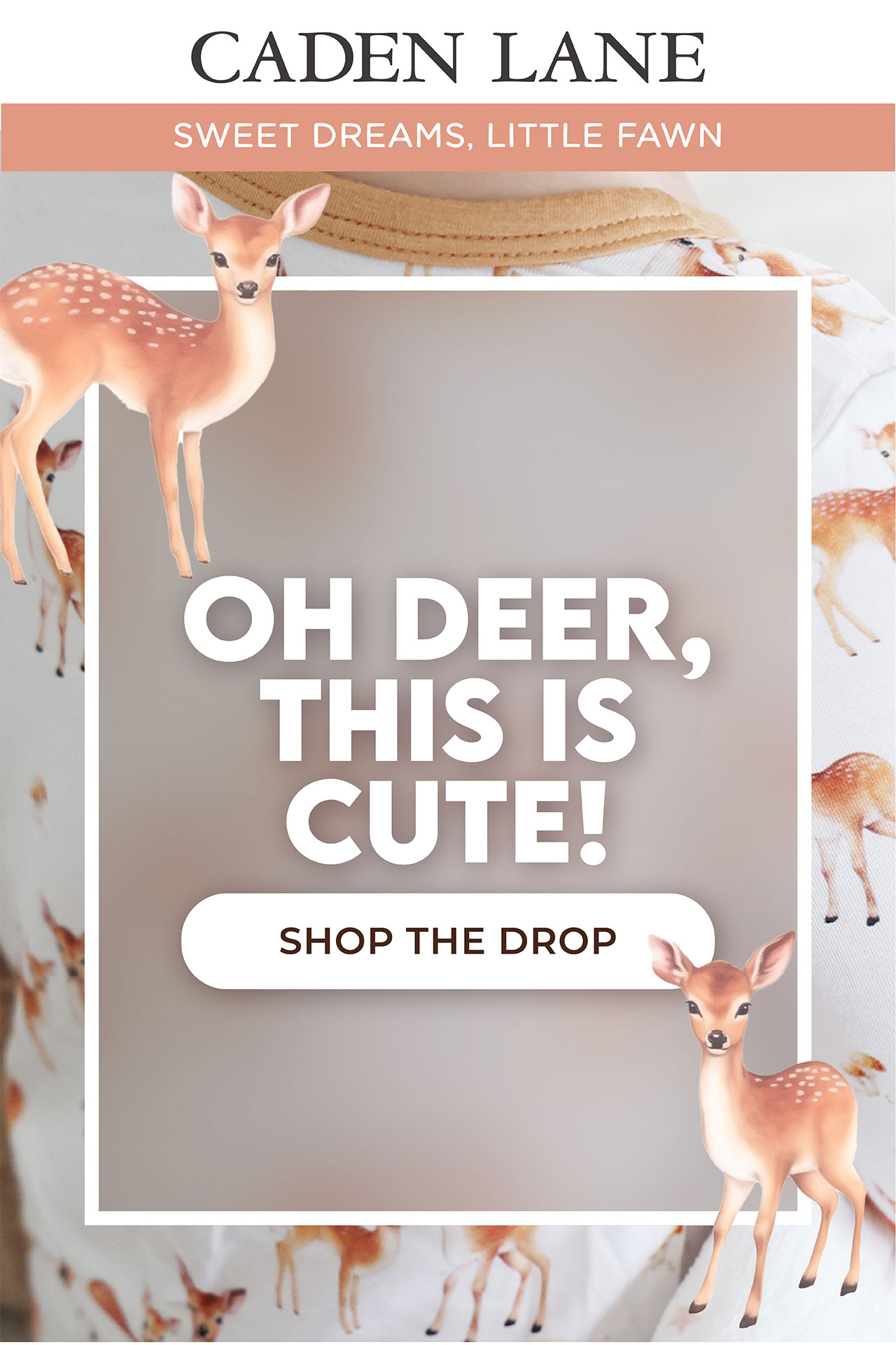 Friendly Fawns Print Drop