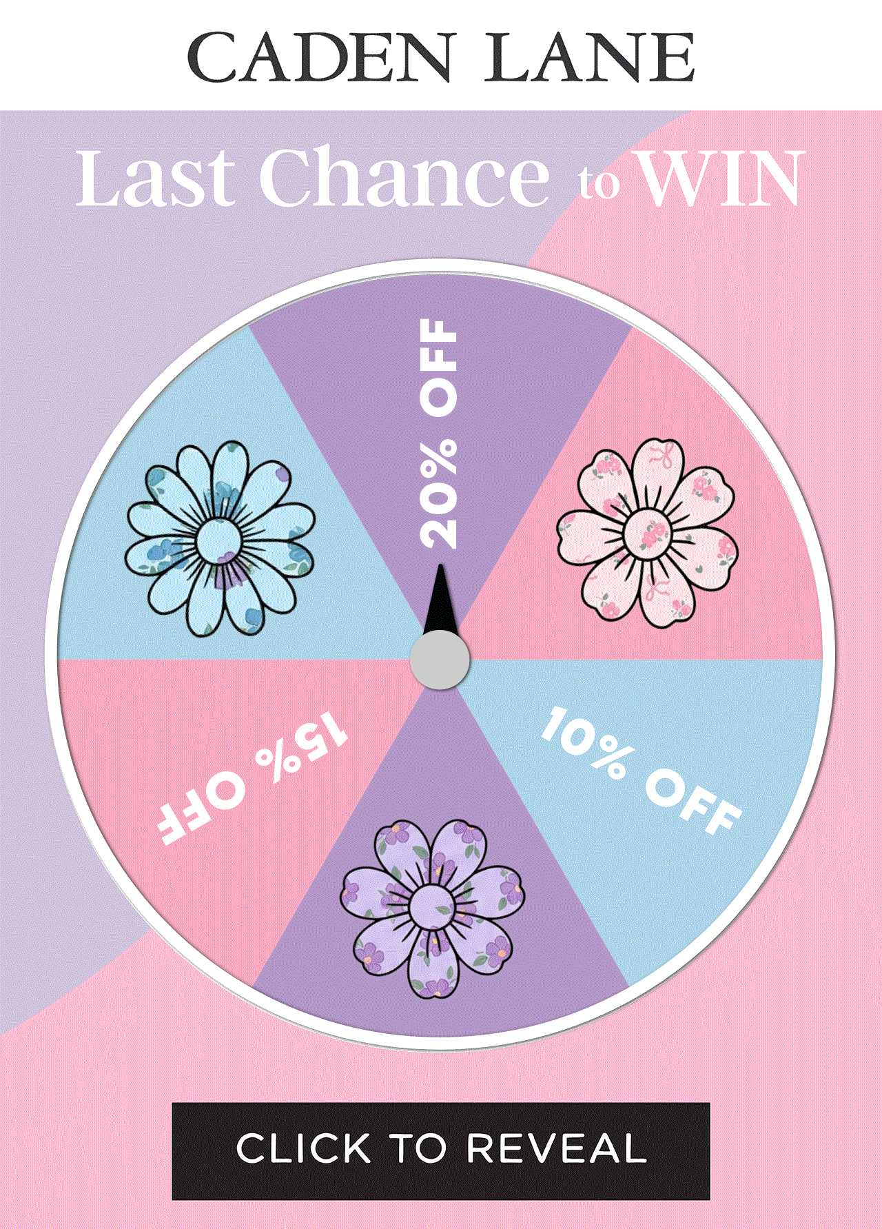 Last Chance to WIN
