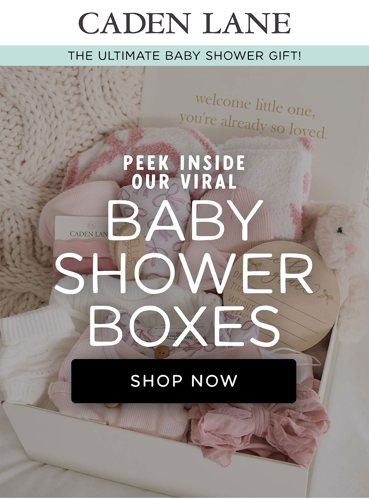 The Ultimate Newborn Gift Set