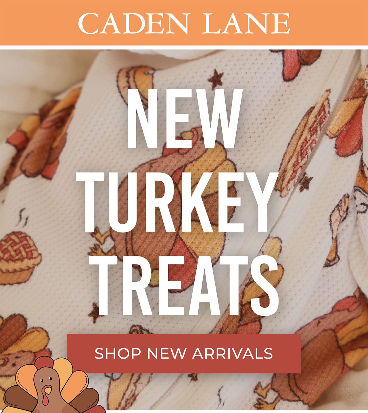 Caden Lane NEW Turkey Treats! | SHOP NEW ARRIVALS