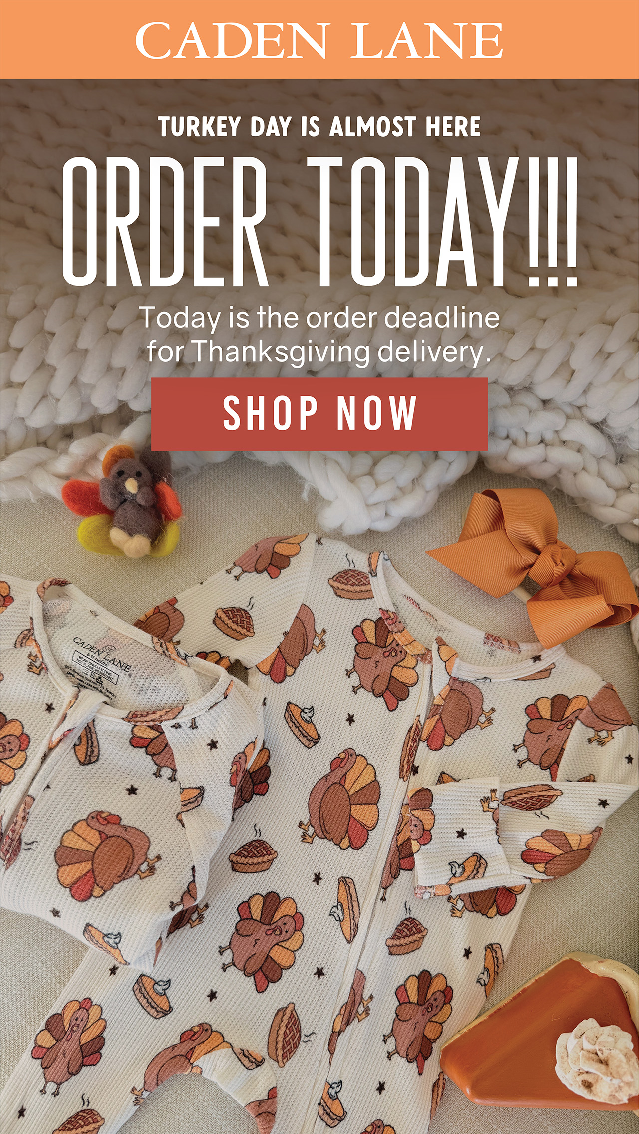 order today for Thanksgiving delivery!