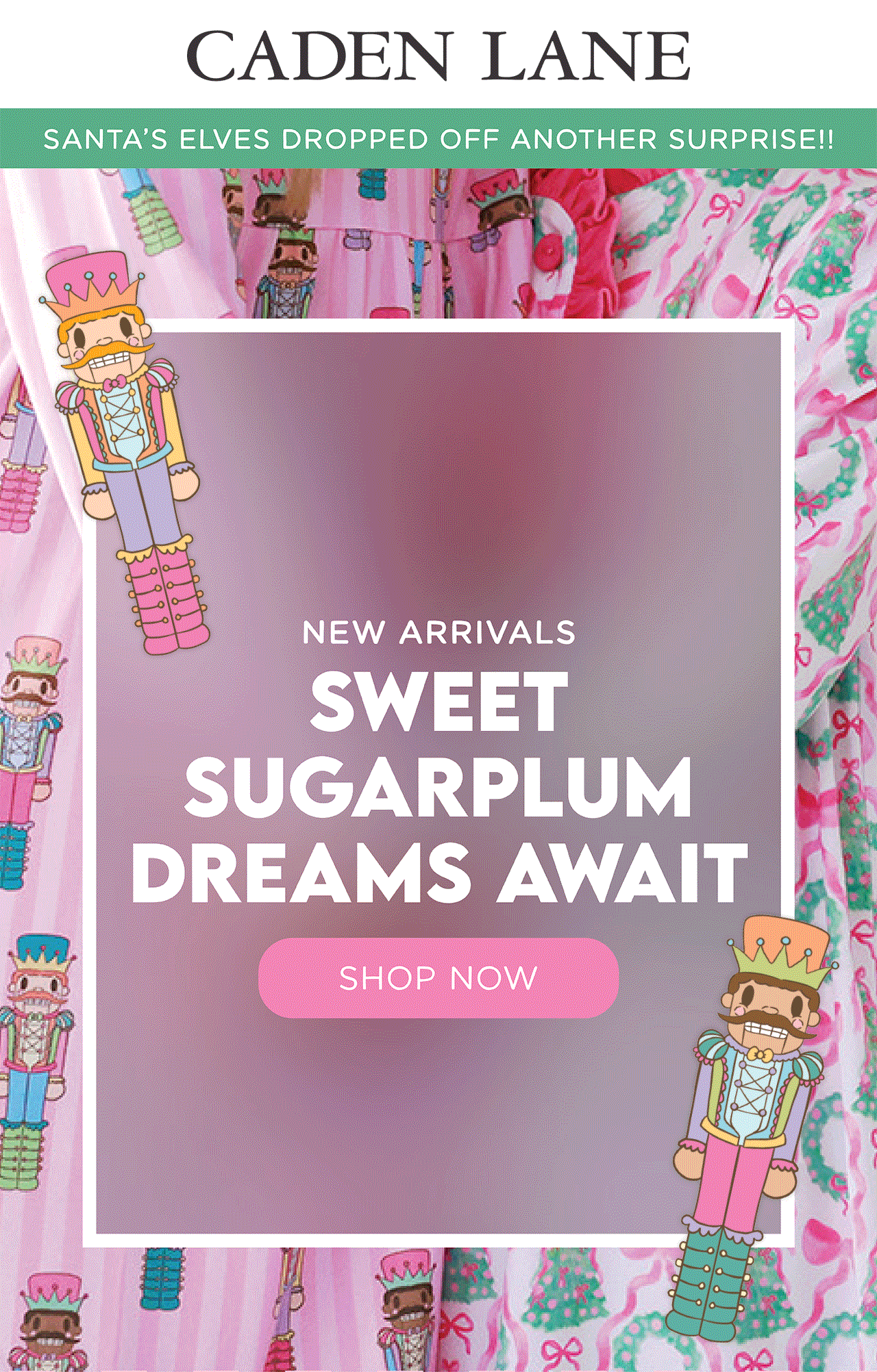 CADEN LANE | SANTA'S ELVES DROPPED OFF ANOTHER SURPRISE!! | NEW ARRIVALS | SWEET SUGARPLUM DREAMS AWAIT! | SHOP NOW