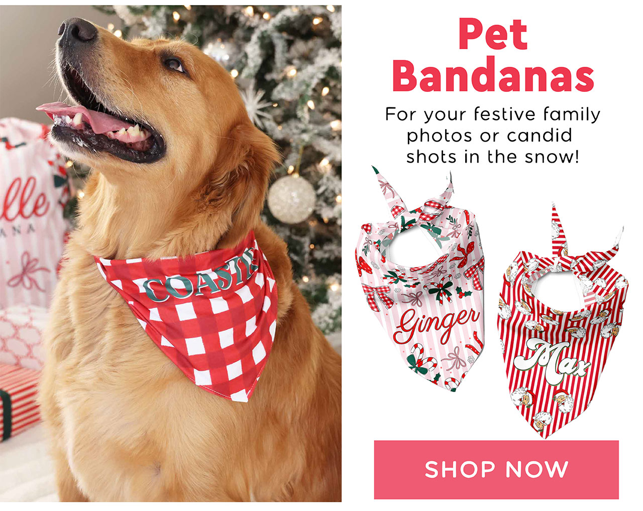 Pet Bandanas | For your festive family photos or candid shots in the snow!