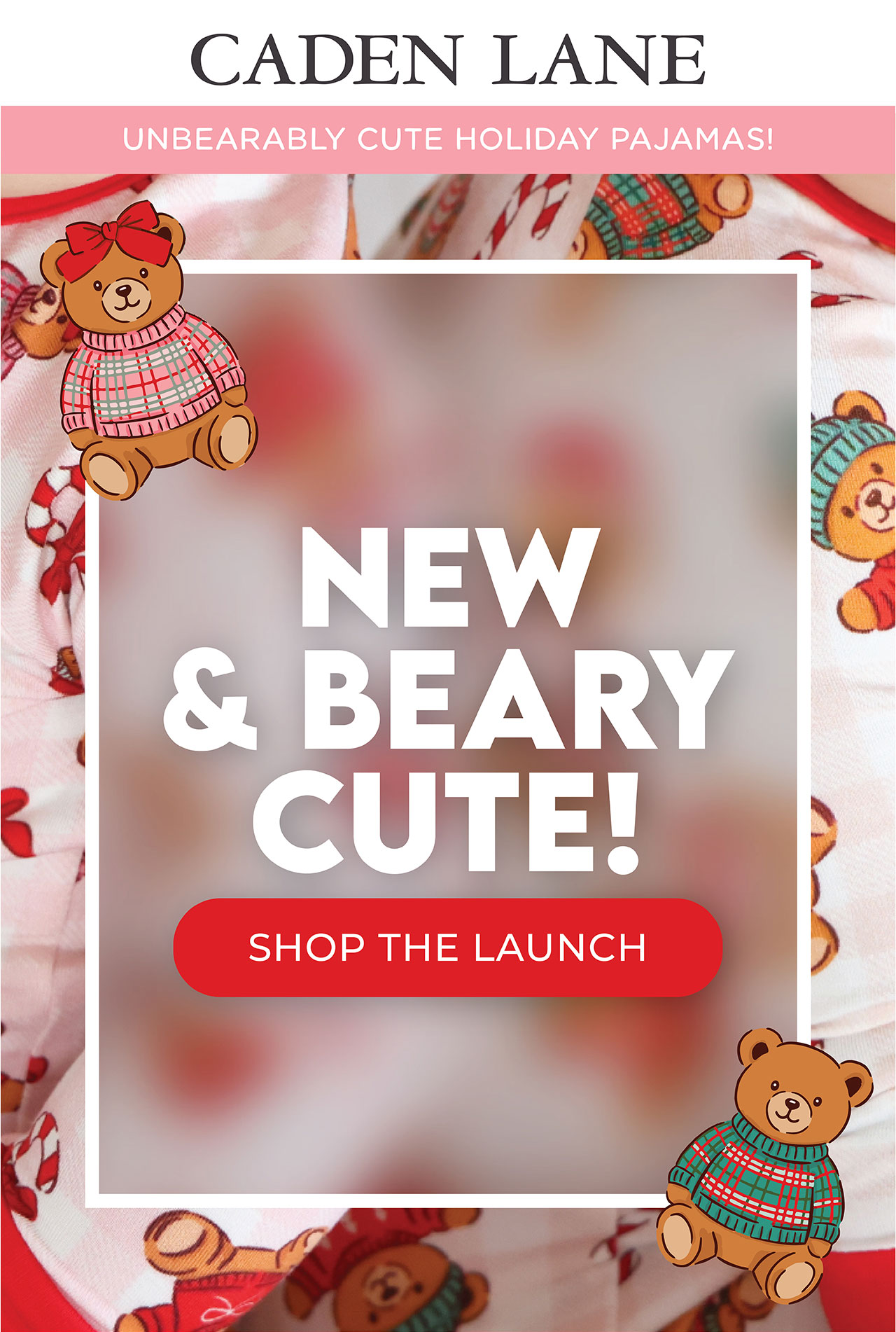 UNBEARABLY CUTE HOLIDAY PAJAMAS! NEW & BEARY CUTE! | SHOP THE LAUNCH