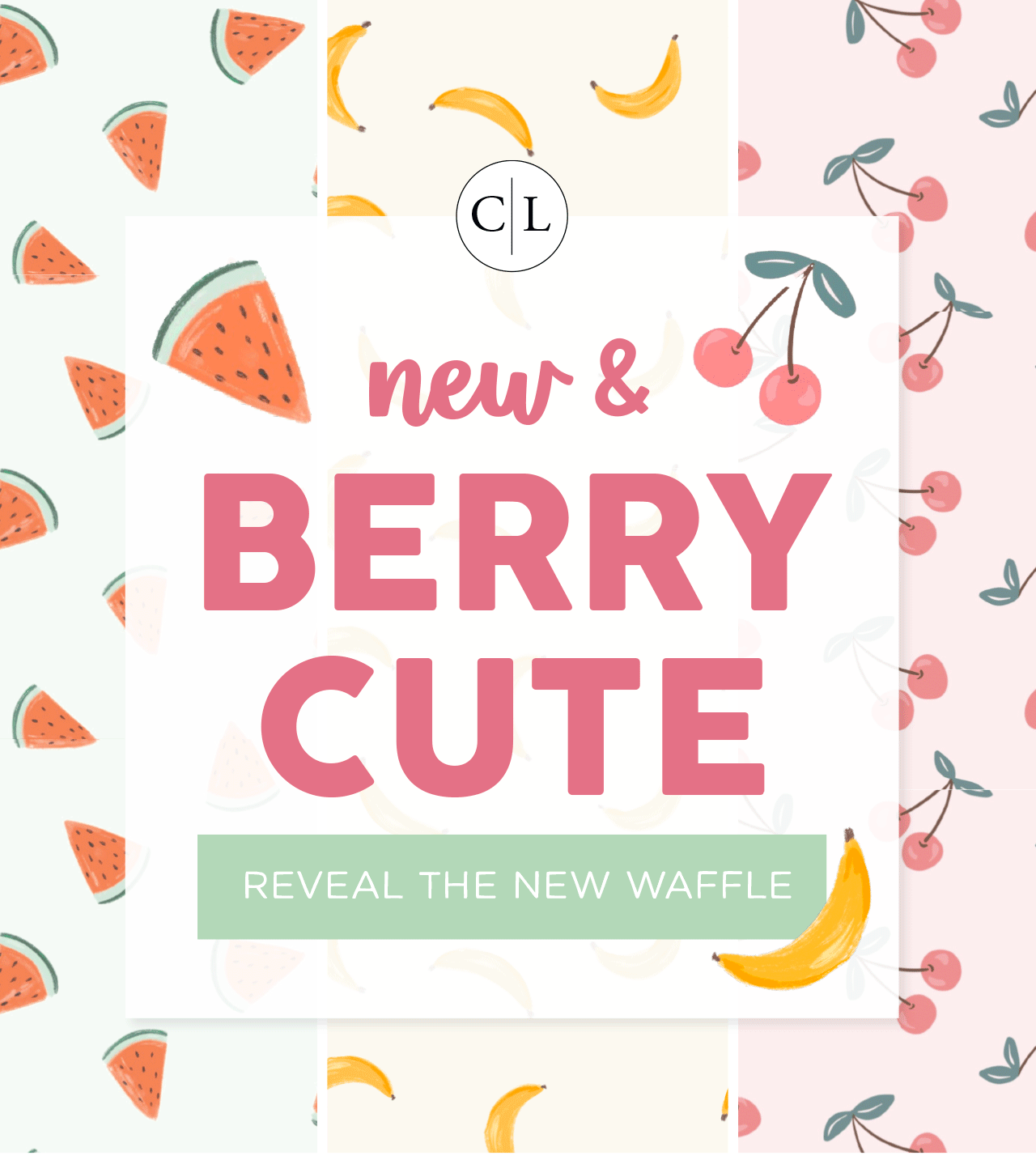 new & BERRY CUTE! | reveal the new waffle!