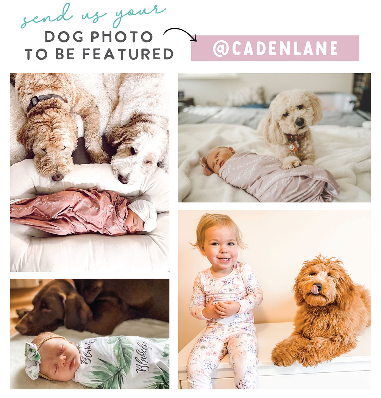 SEND US YOUR DOG PHOTO TO BE FEATURED!
