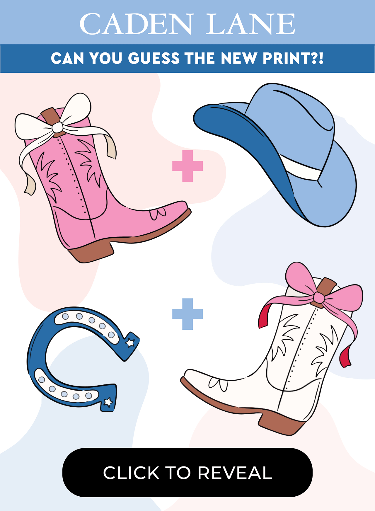 Rodeo Dreams Collection 