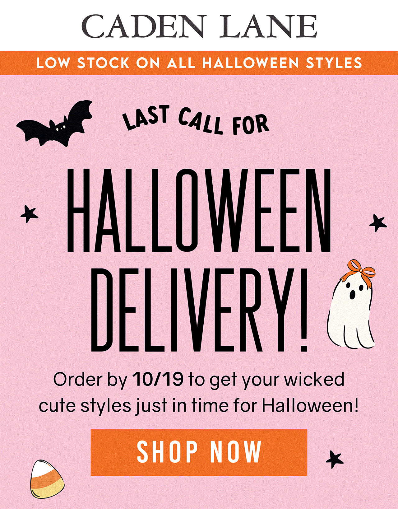 Last Chance for Halloween Delivery