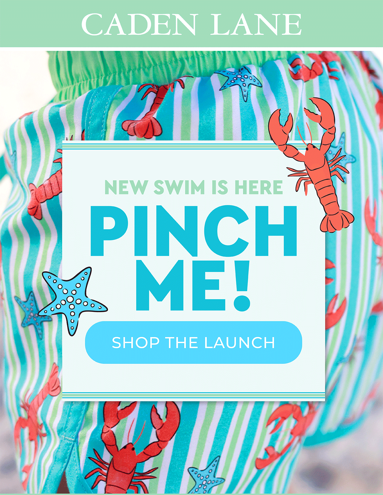 NEW SWIM IS HERE PINCH ME! SHOP THE LAUNCH