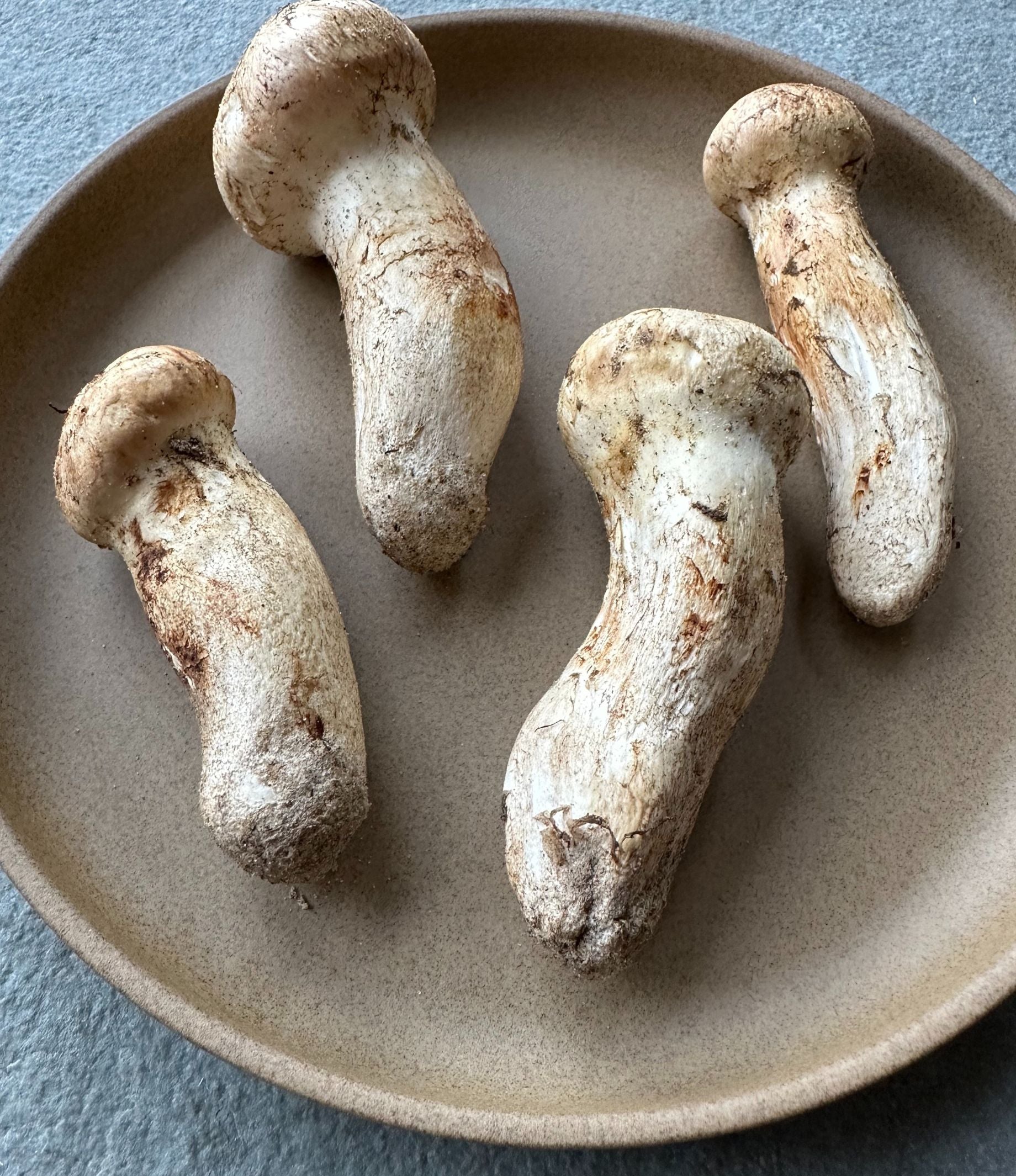 Peak Matsutake, American Wagyu, and Gulf Shrimp Regalis Foods