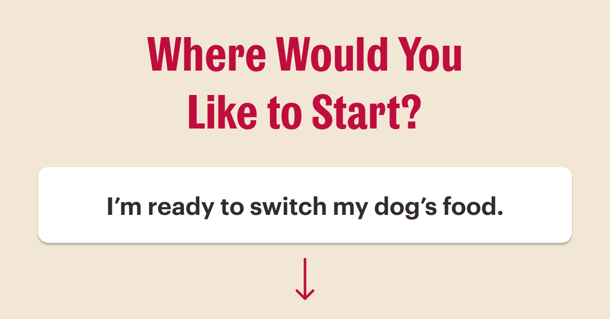 Where Would You Like to Start? I’m ready to switch my dog’s food.