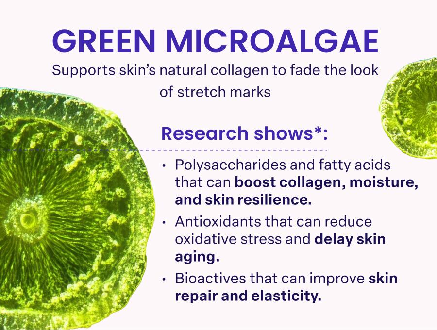 GREEN MICROALGAE Supports skin's natural collagen to fade the look of stretch marks Research shows*: Polysaccharides and fatty acids that can boost collagen, moisture, and skin resilience. Antioxidants that can reduce oxidative stress and delay skin aging. Bioactives that can improve skin repair and elasticity.