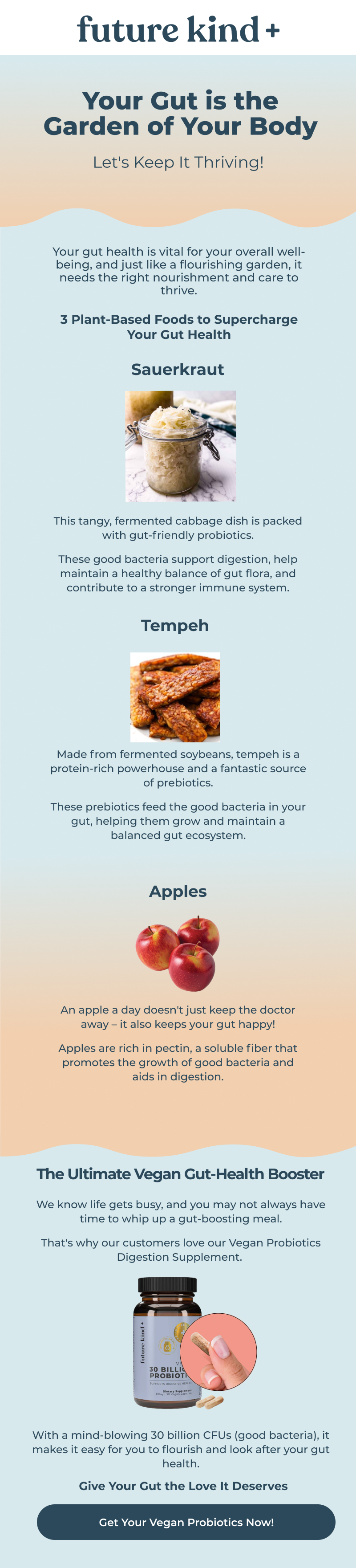 3 PlantBased Foods For Your Gut Health Future Kind