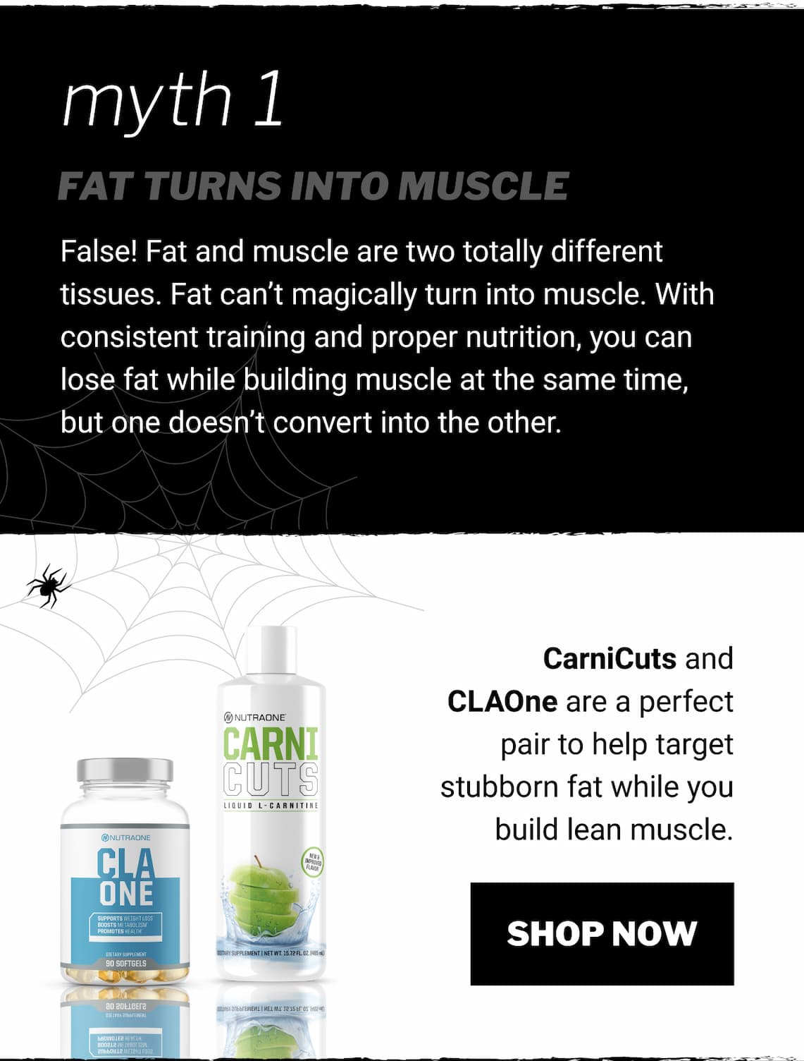 Myth 1- Fat Turns into muscle