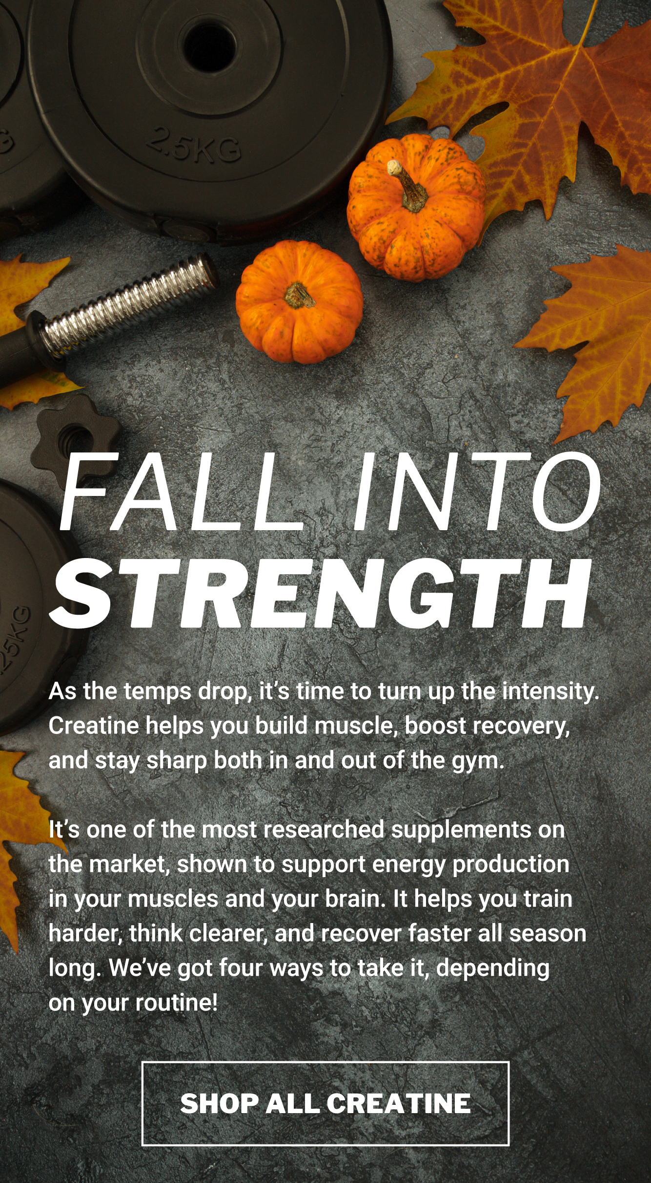 Fall into strength with creatine