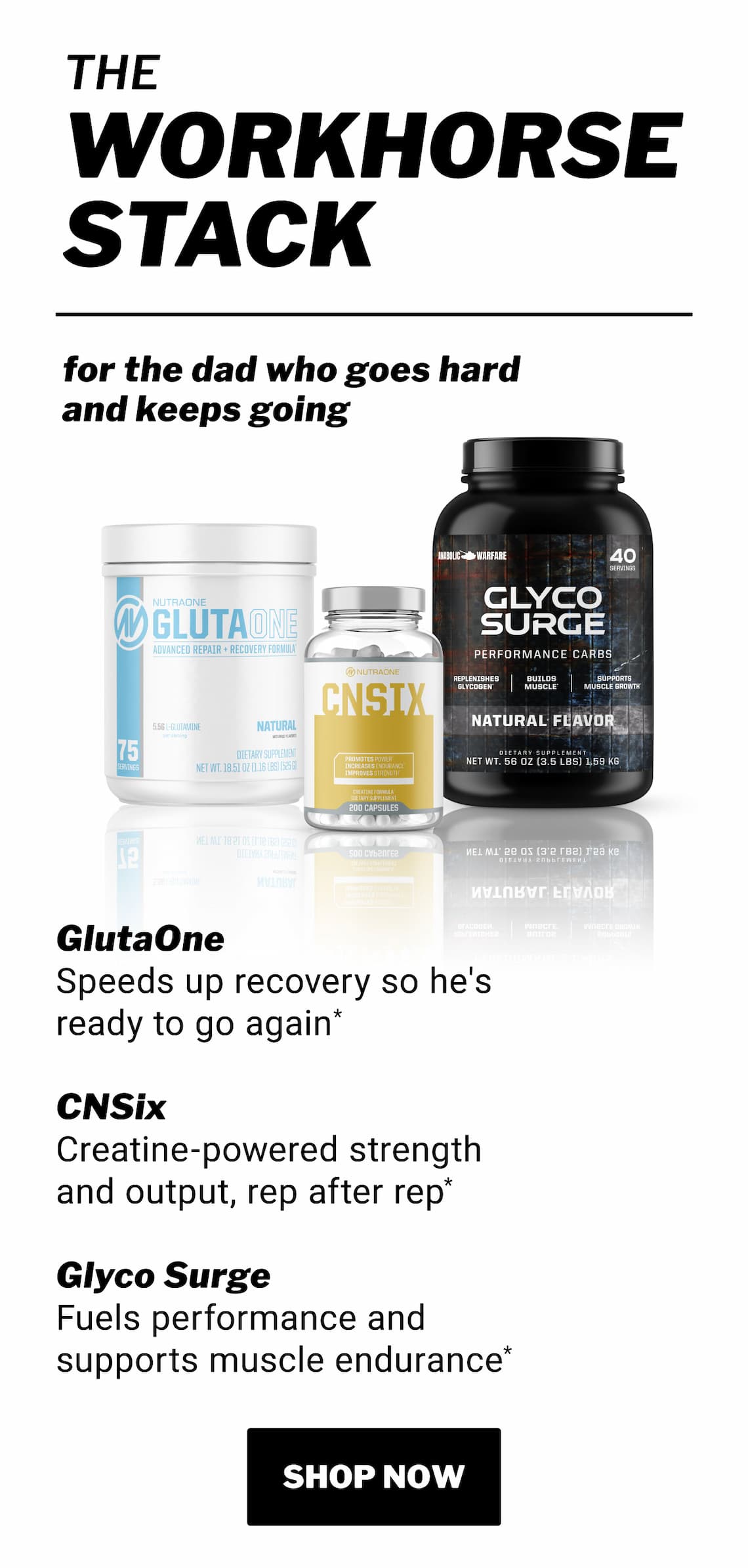 The Workhorse Stack