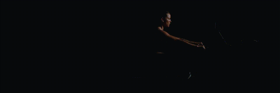 InBody Banner