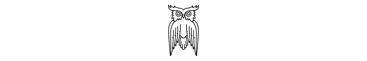 Night Owl coffee bag