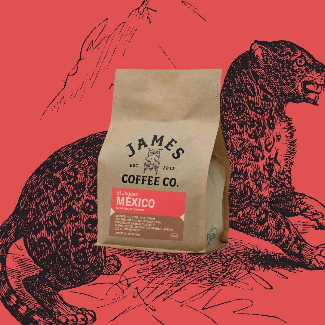 Single Origin Spotlight Mexico Chiapas El Jaguar James Coffee Co