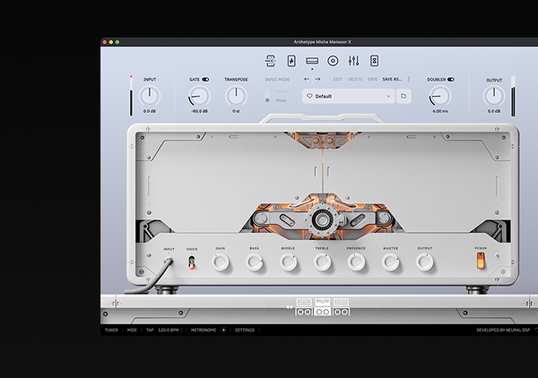 Archetype: Misha Mansoor X