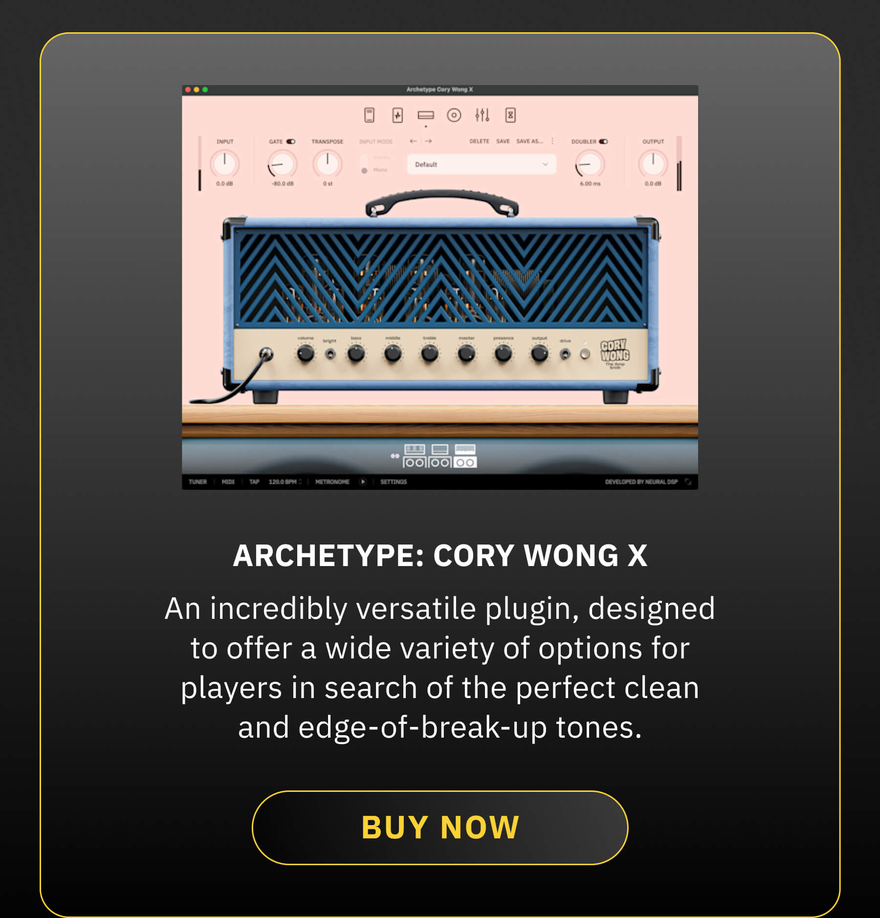 Archetype: Cory Wong X: An incredibly versatile plugin, designed to offer a wide variety of options for players in search of the perfect clean and edge-of-break-up tones. BUY NOW