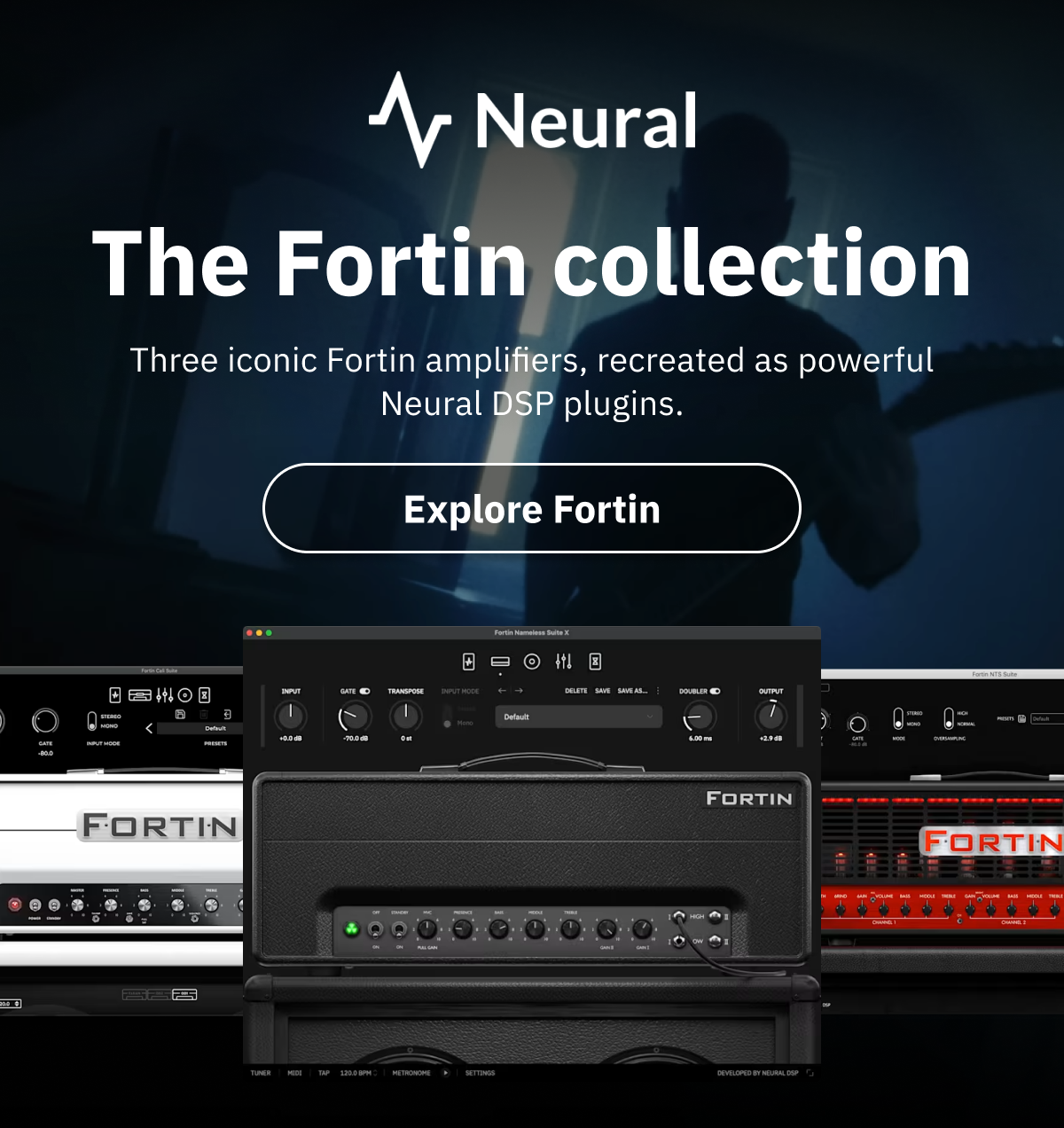 The Fortin collection