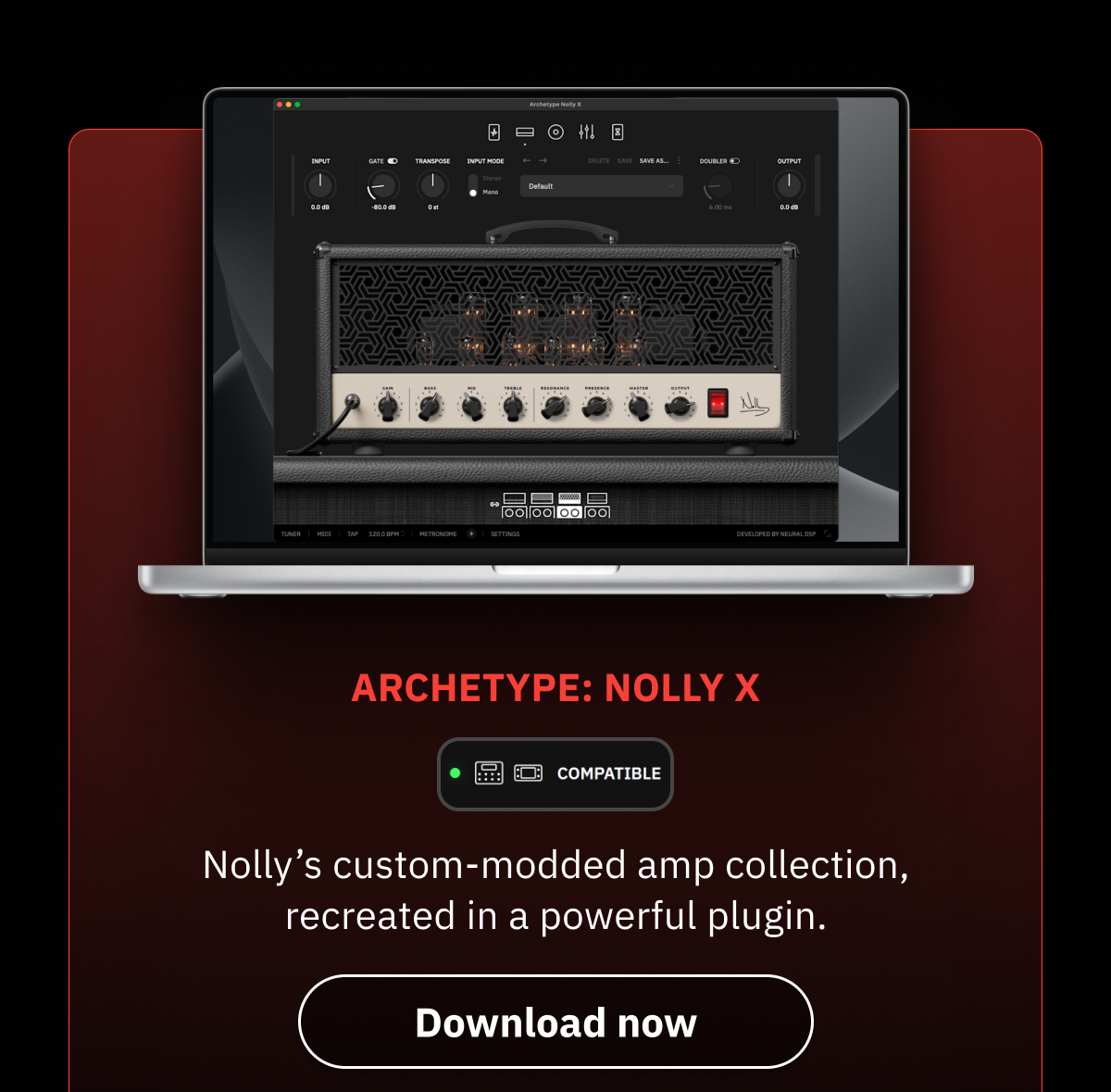 Archetype: Nolly X