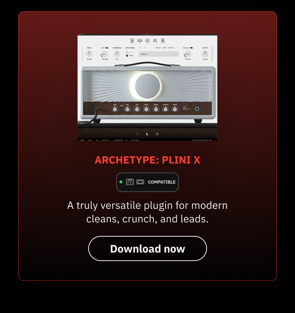 Archetype: Plini X