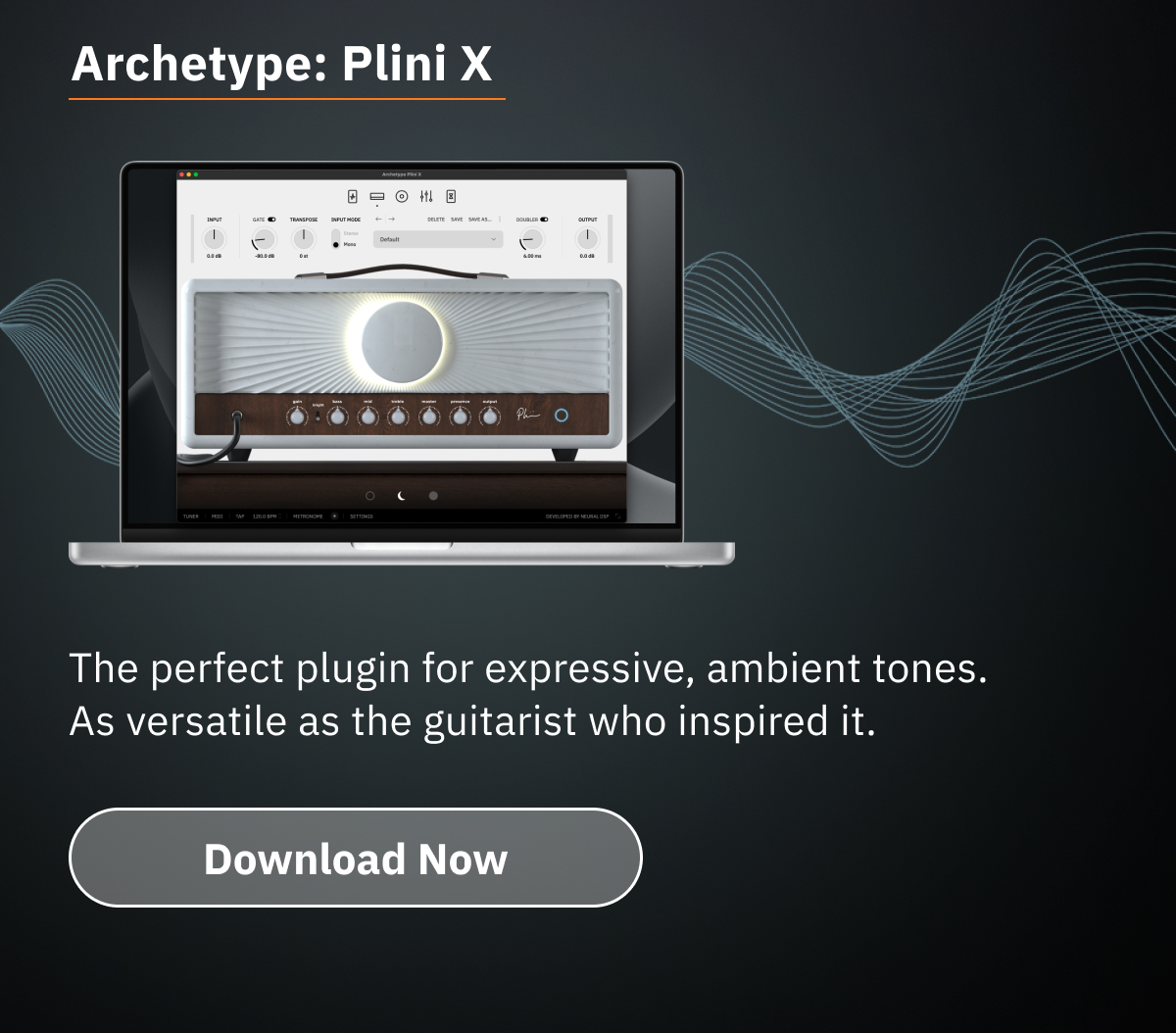 Archetype: Plini X  The perfect plugin for expressive, ambient tones. As versatile as the guitarist who inspired it.