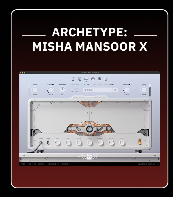 Archetype: Misha Mansoor X