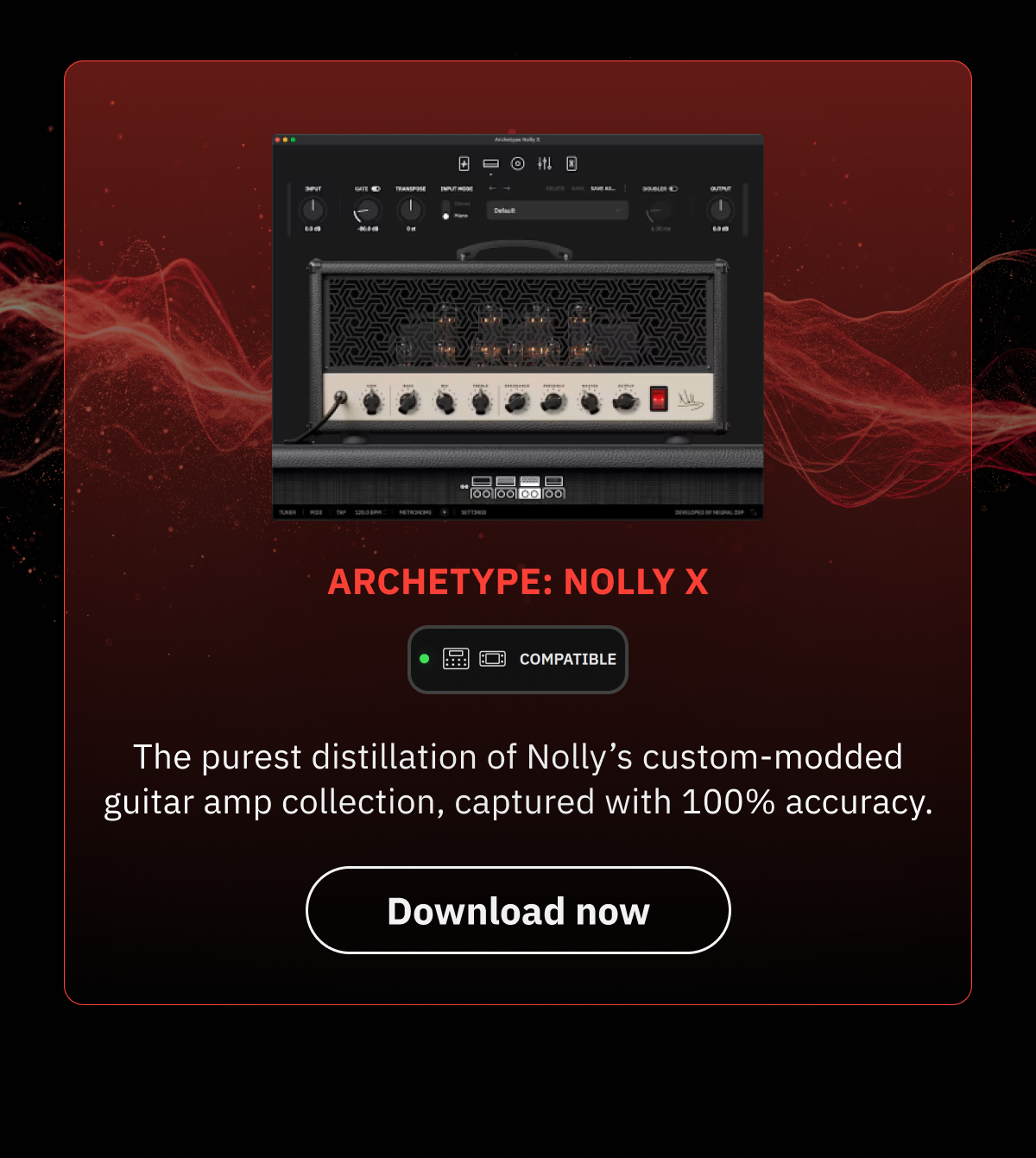 Archetype: Nolly X