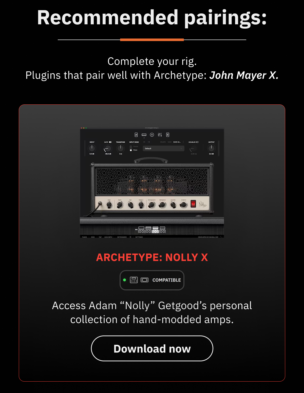Archetype: Nolly X
