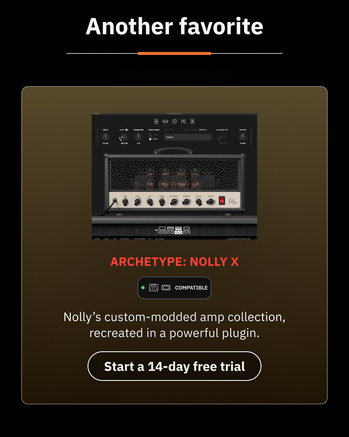 Archetype: Nolly X