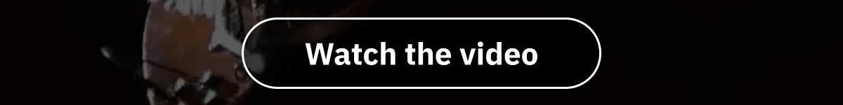 Watch the video