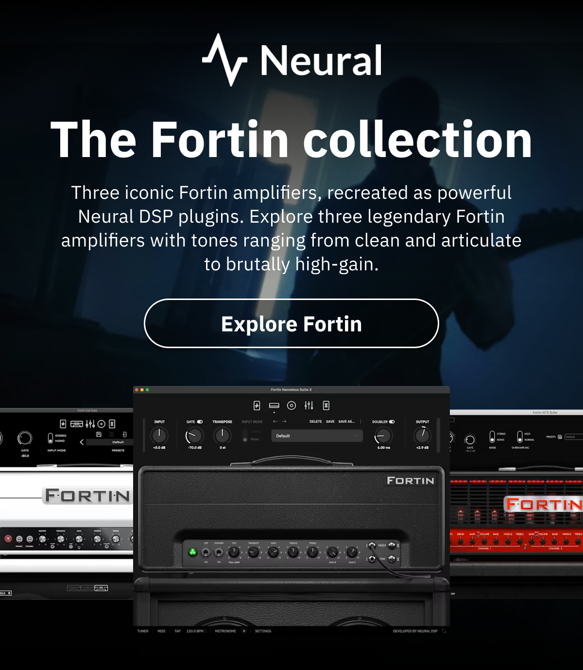 The Fortin collection
