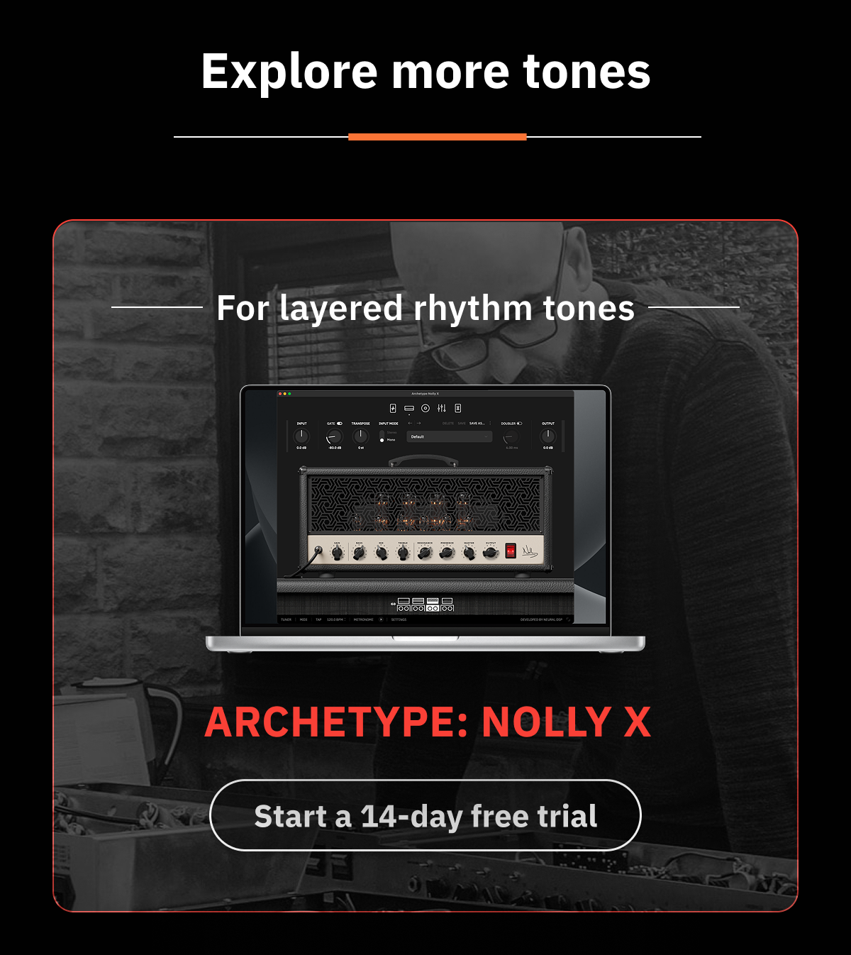 Archetype: Nolly X