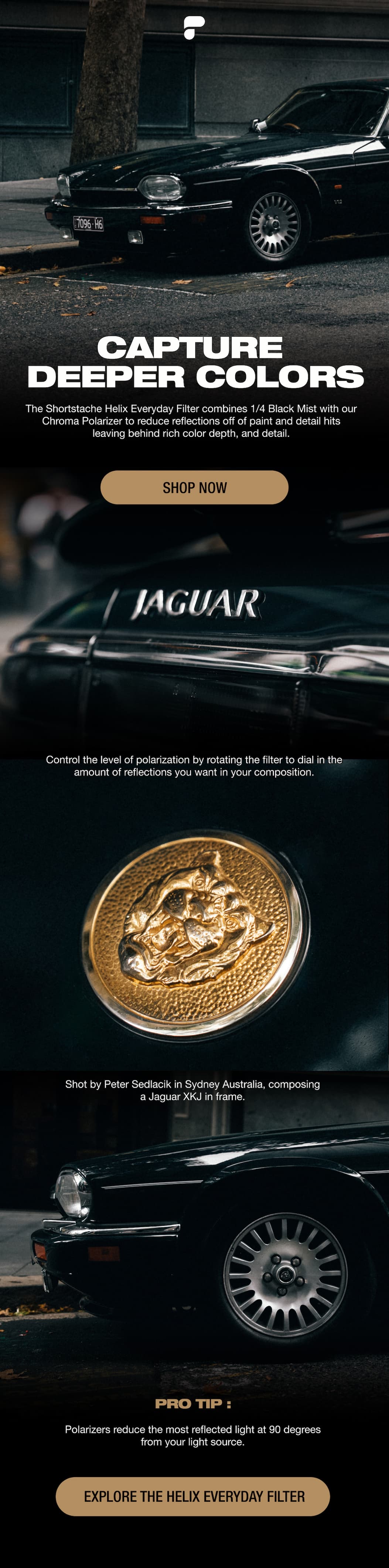 Peter Sed Everyday Filter