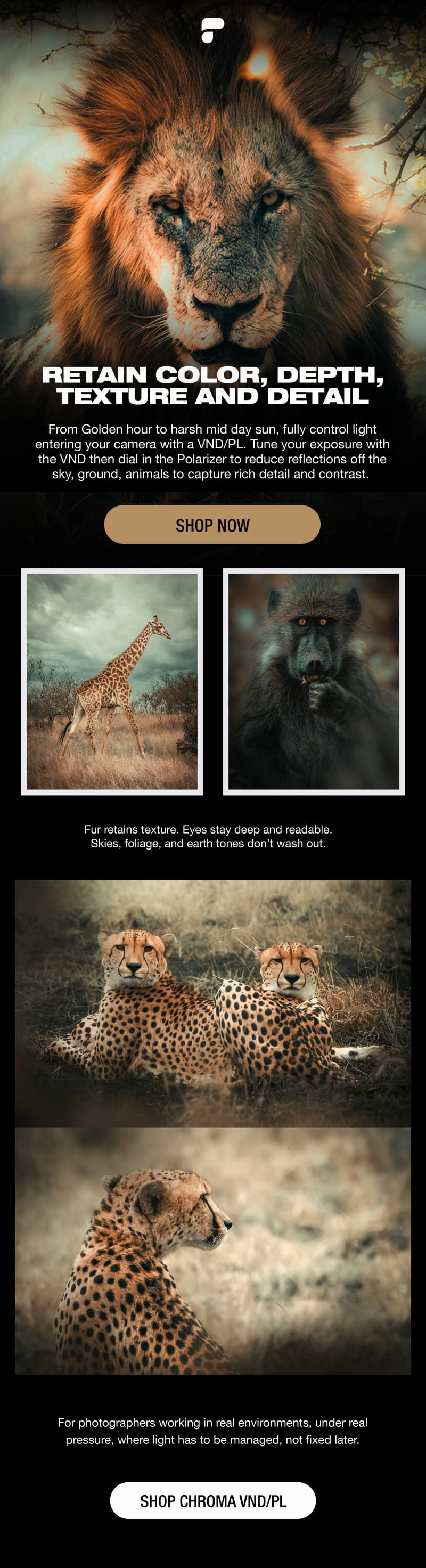 Malcolm Chroma VND/PL