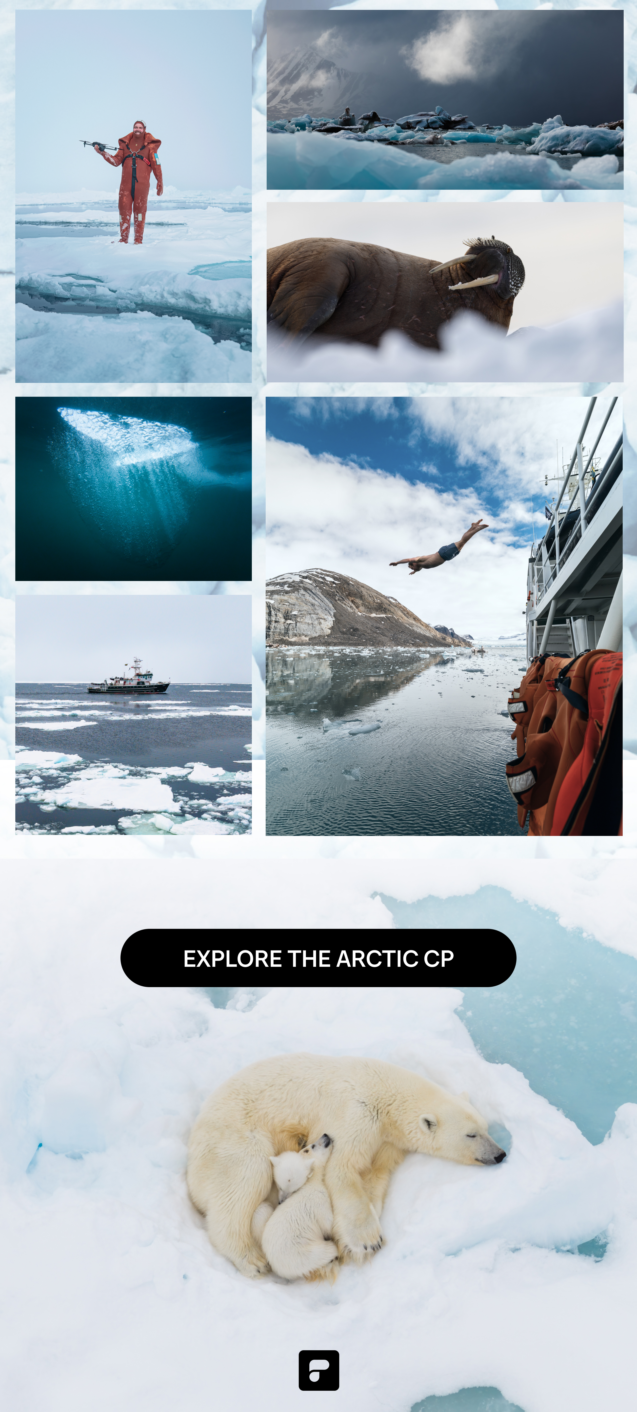 Arctic PDP