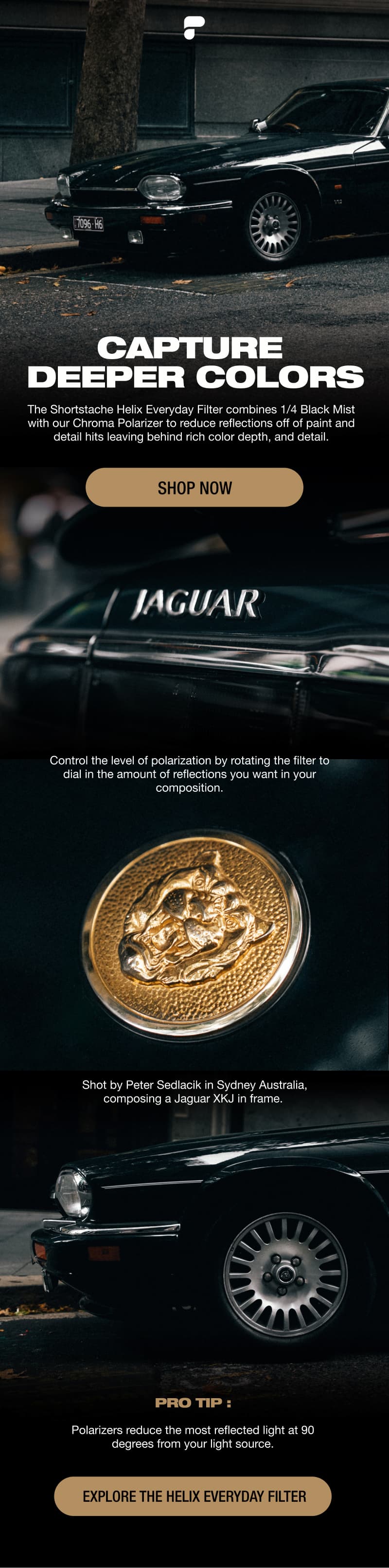 Peter Sed Everyday Filter