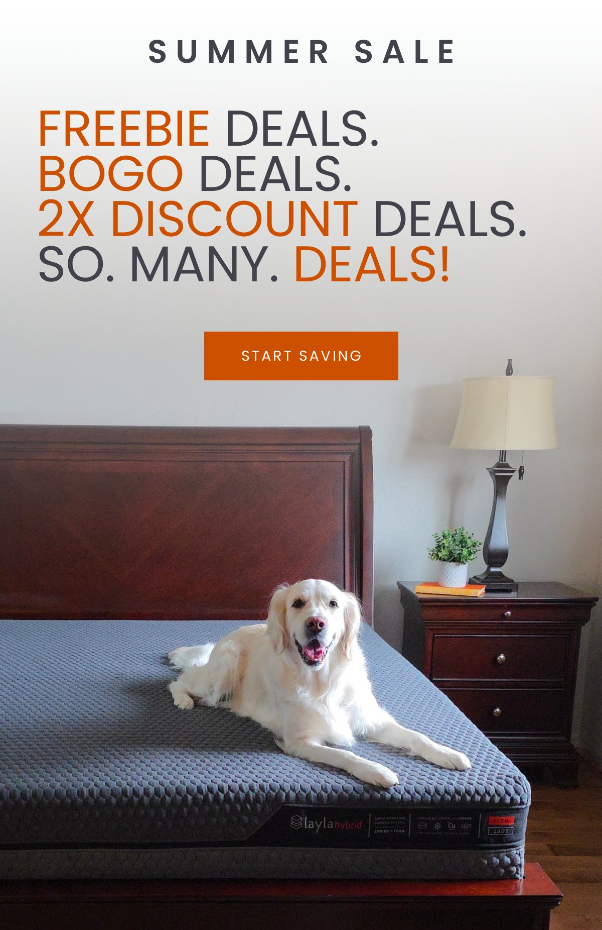 Shop The Sale