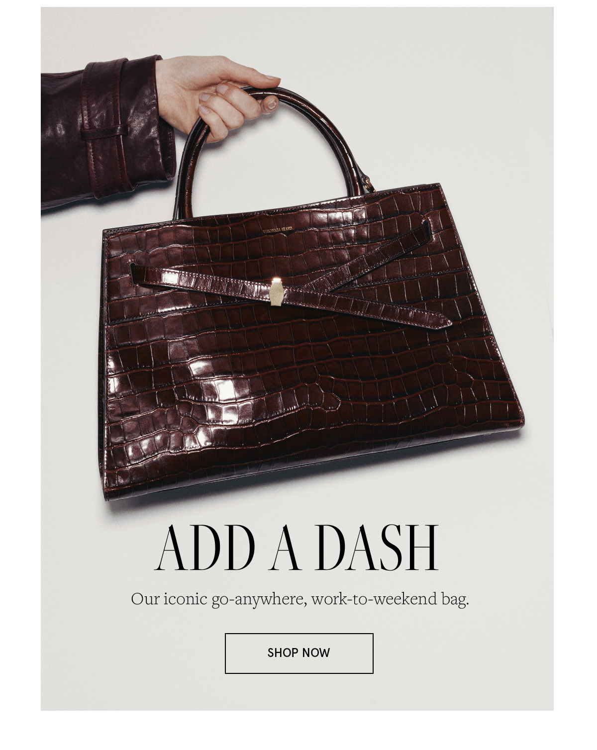 The Dash Bag